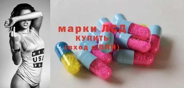 стафф Арсеньев