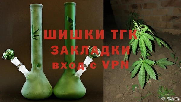стафф Арсеньев