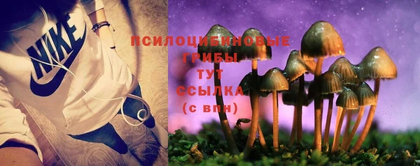 2c-b Аркадак