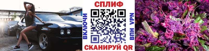 Шишки марихуана SATIVA & INDICA  сколько стоит  это официальный сайт  Светлоград 